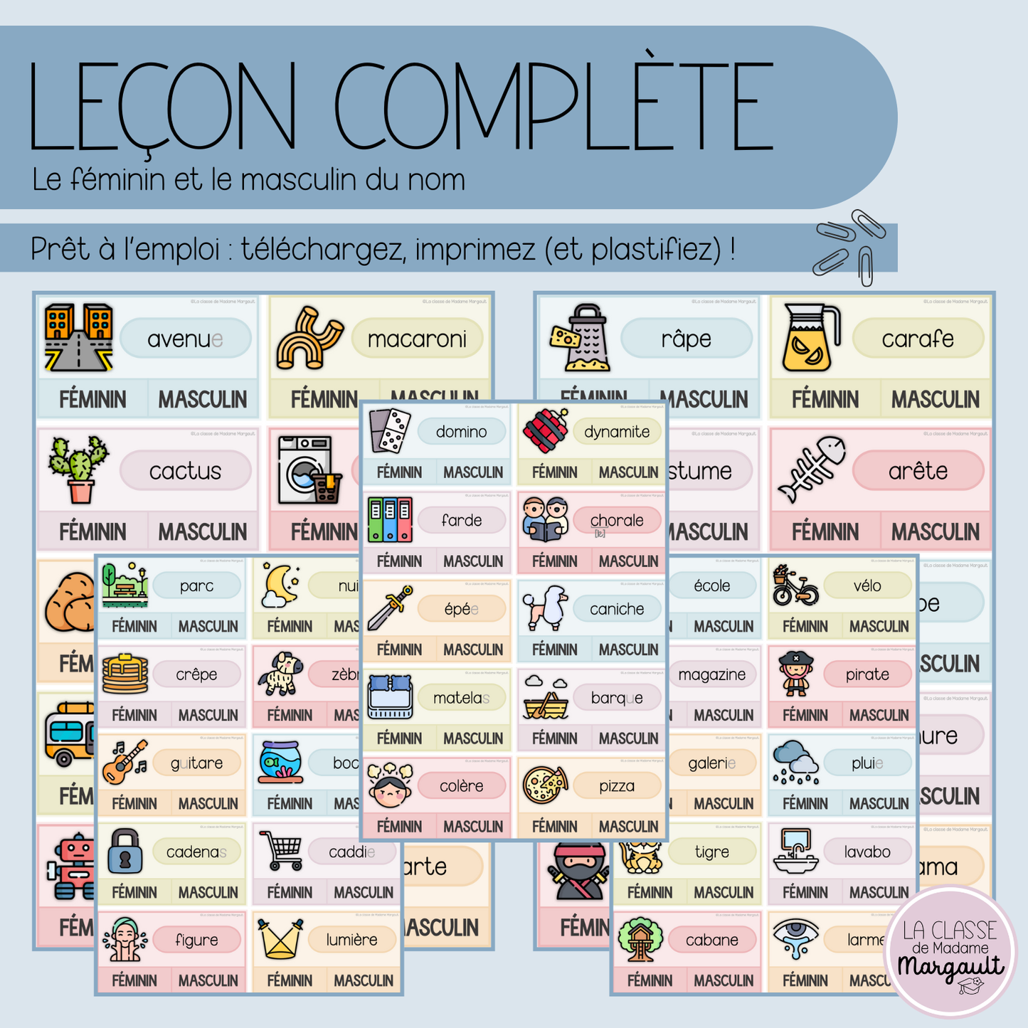 Leçon - Le féminin et le masculin du nom