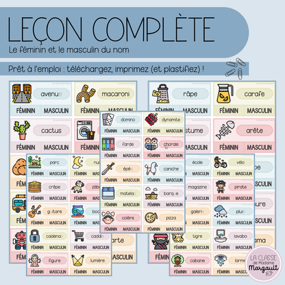 Leçon - Le féminin et le masculin du nom
