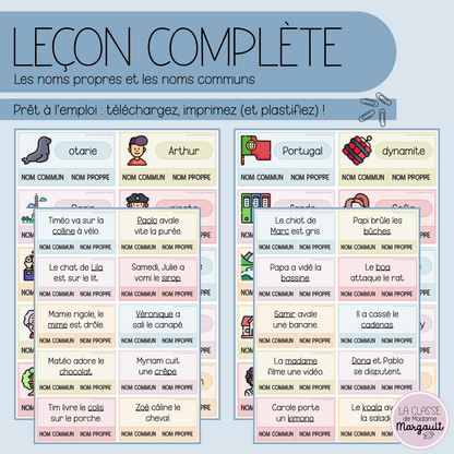 Leçon - Les noms propres et communs