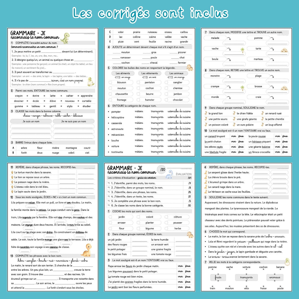 Le nom commun - Exercices et évaluation