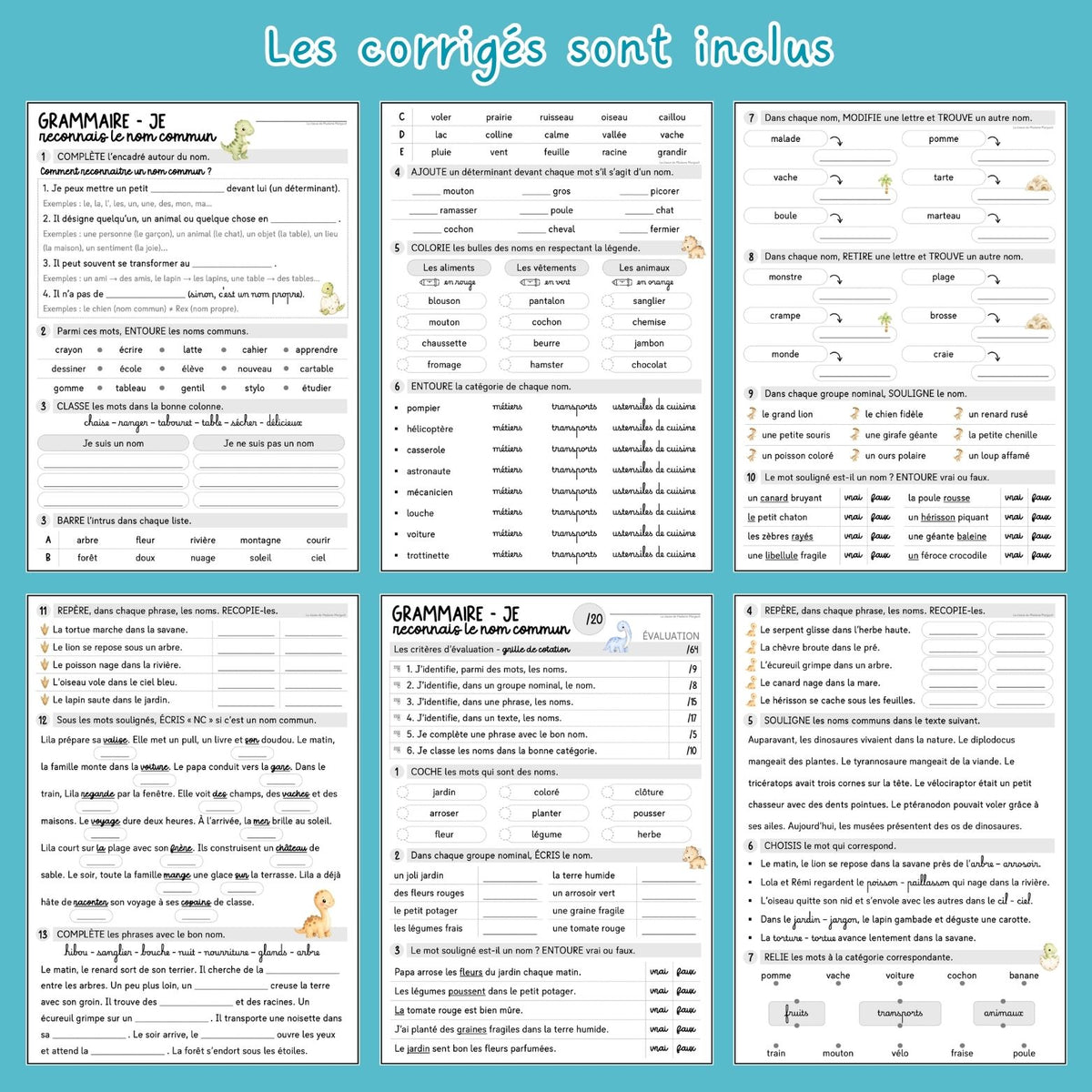 Le nom commun - Exercices et évaluation