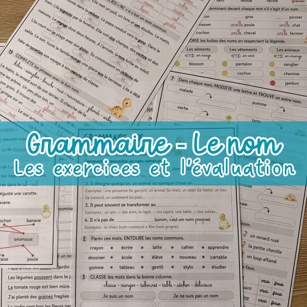 Le nom commun - Exercices et évaluation