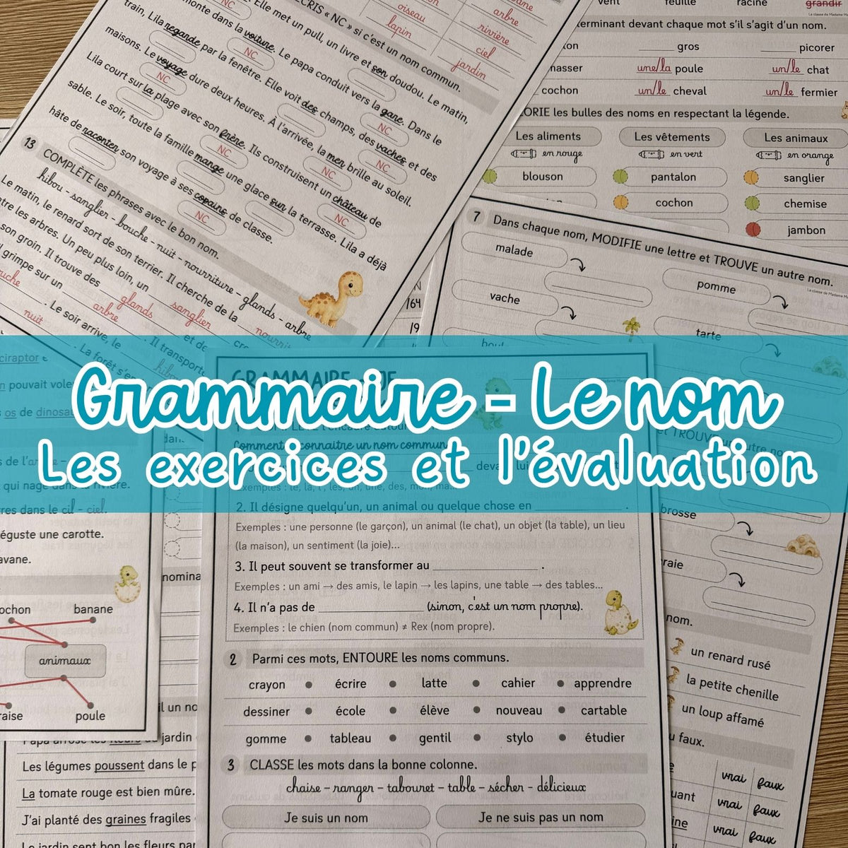 Le nom commun - Exercices et évaluation
