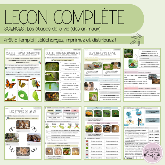 Leçon - Les étapes de la vie (des animaux)