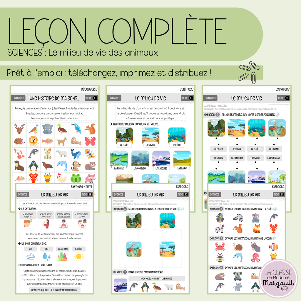 Leçon - Le milieu de vie (des animaux)