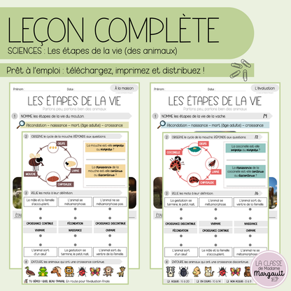 Leçon - Les étapes de la vie (des animaux)