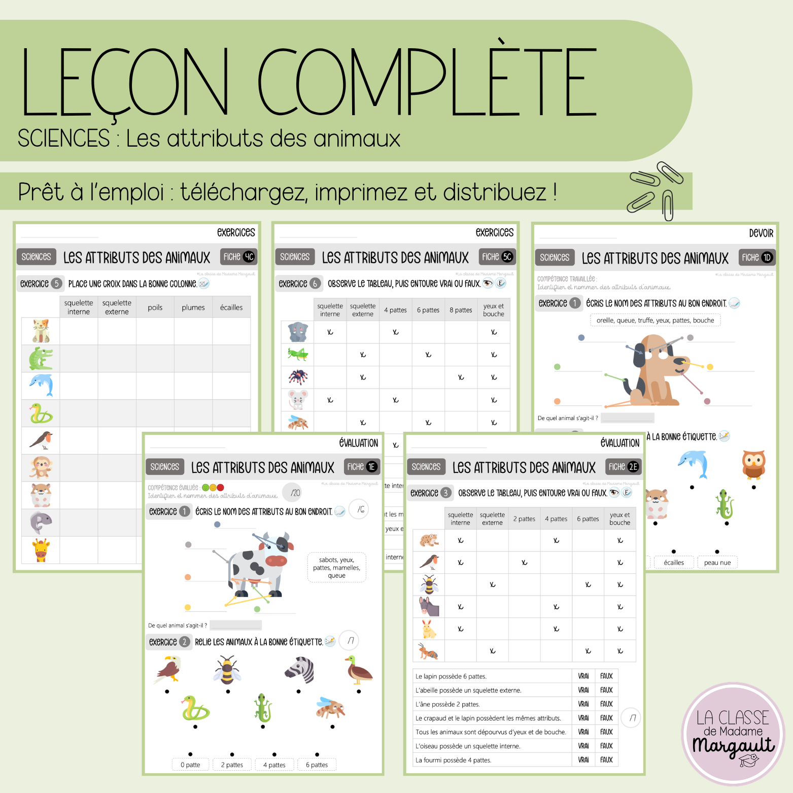 Leçon - Les attributs des animaux